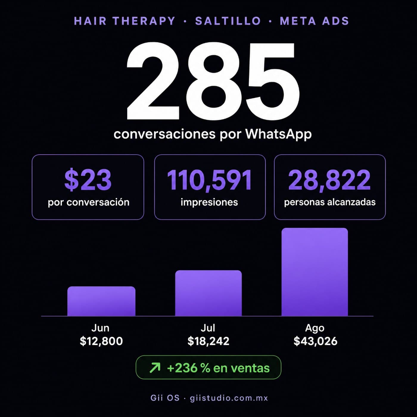 Resultados de Hair Therapy en Meta Ads